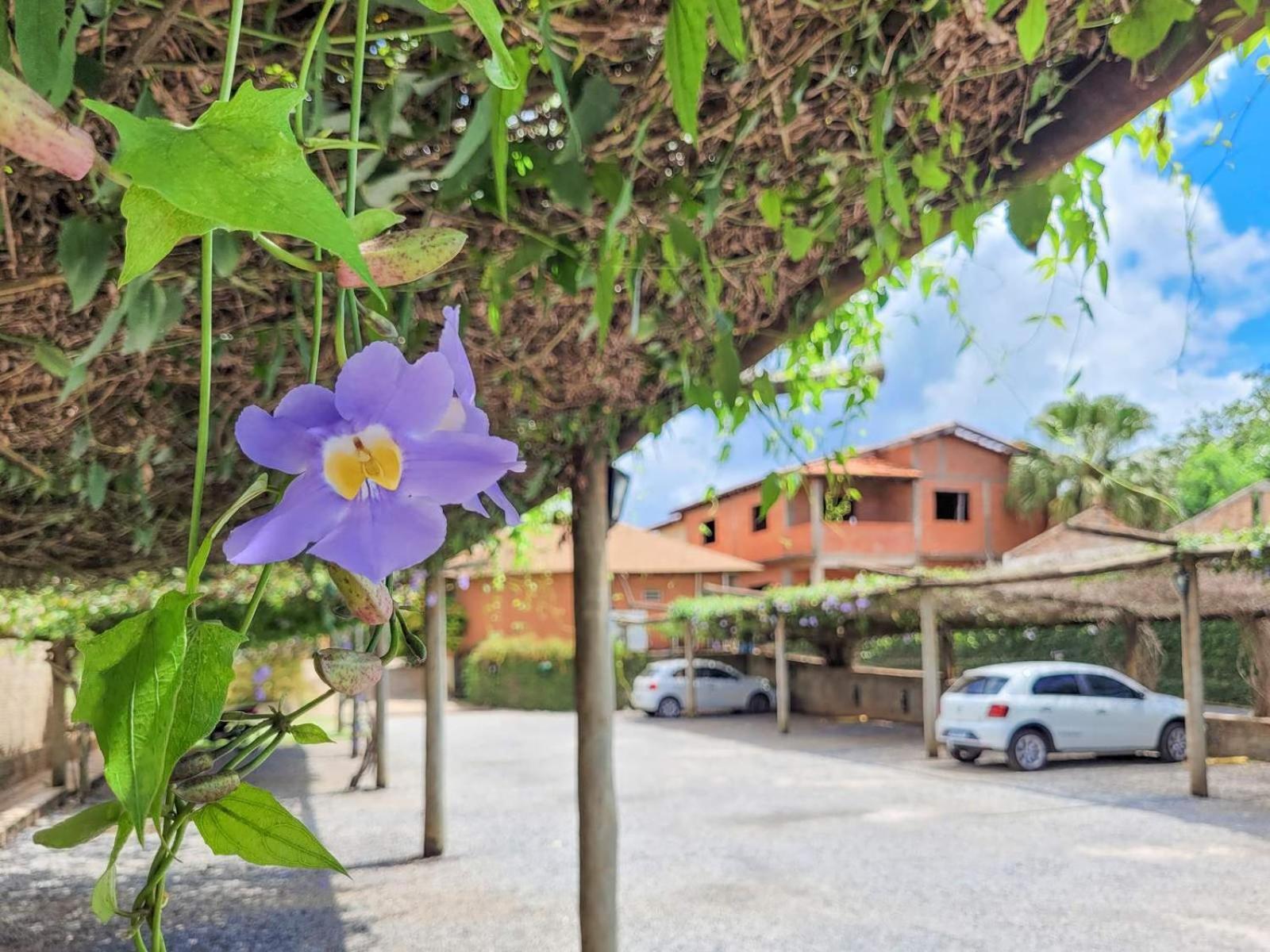 Hotel Pousada Aguas De Bonito Bonito  Dış mekan fotoğraf